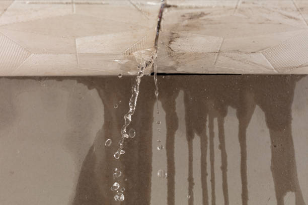 Professional Water Damage Repair technician working in Edgewood, NM